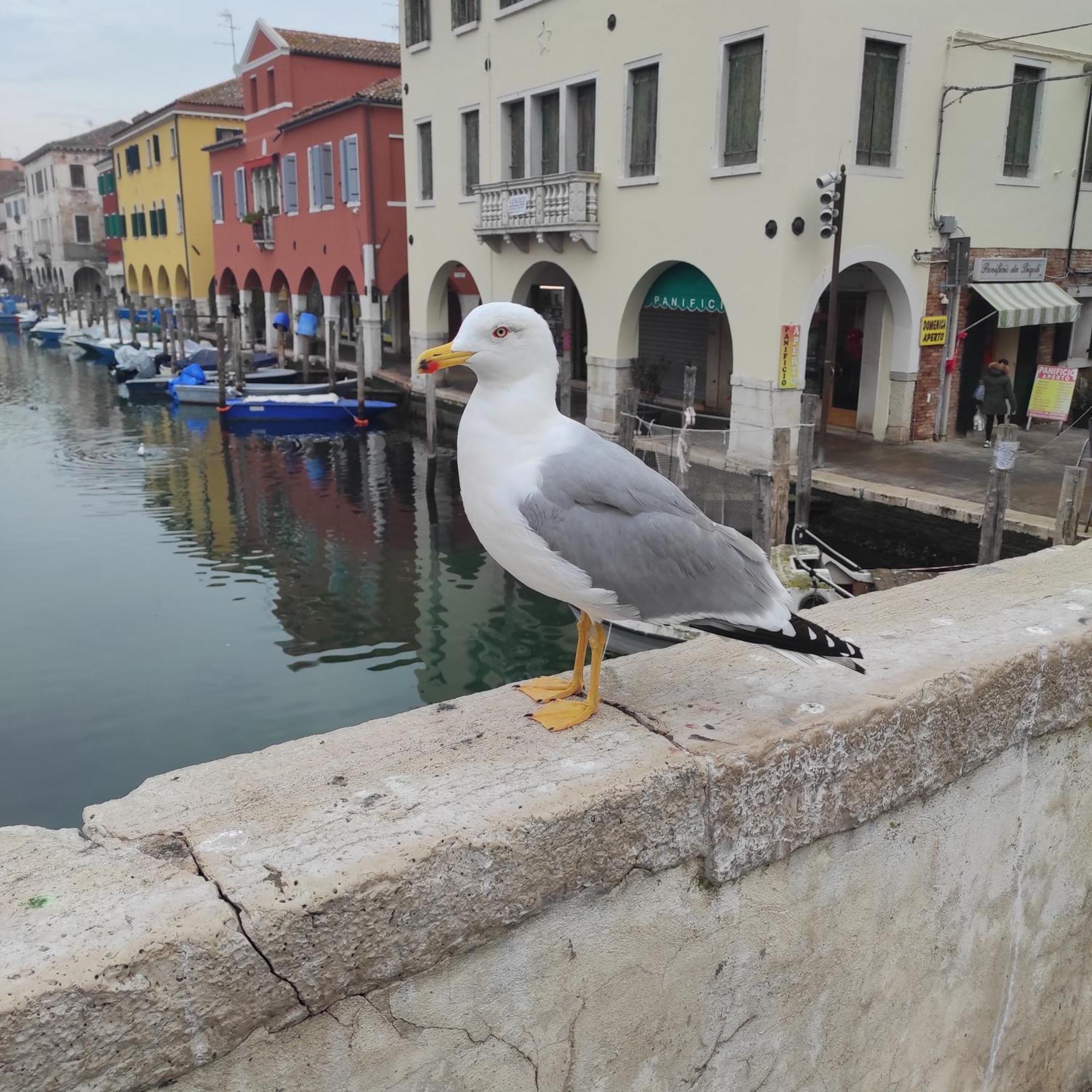 Ca' Dell'Angelo Bed & Breakfast Chioggia Ngoại thất bức ảnh